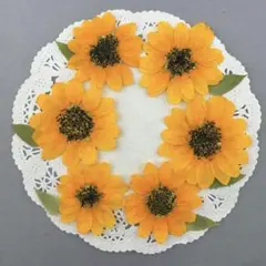 押し花♡No385♡ミニひまわりセット