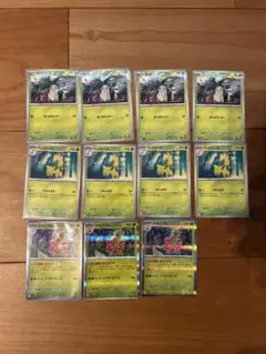 ポケモンカードメガニウム進化ラインセット