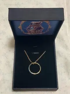 【匿名配送】アイク・イーヴランド　リングネックレス