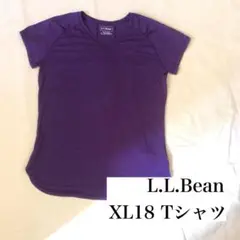 L.L.Bean XL18 Tシャツ