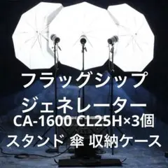 Item thumbnail for item 11427115-7557-4e95-84ba-a407022569c1