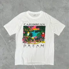【ネオンカラー】Dorsett Tee’s カリビアンドリームTバハマ製白XL
