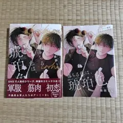 落ちる色は、琥珀色