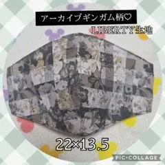 3.アーカイブギンガム柄♡ LIBERTY生地