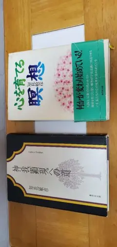 神我顕現への道 神我顕現への道 | 知花敏彦 |本 | 通販 | Amazon