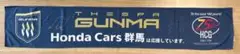 ザスパ群馬 冷寒マフラータオル 非売品
