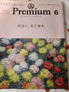 & Premium 2024年6月号