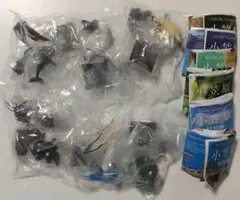 ネイチャーテクニカラー　小笠原　特装版　6種フルセット