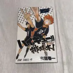 ハイキュー コンプリートガイドブック 未開封