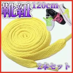 黄 スニーカー 靴紐 120cm 平紐 NIKE adidas vansフラット
