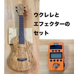 【超レア・完動】RISA Musical Instruments エレキギター 超レア・完動】RISA Musical Instruments エレキギター