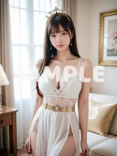 シースルー A4 ポスター AI美女 グラビア セクシー 可愛い n701