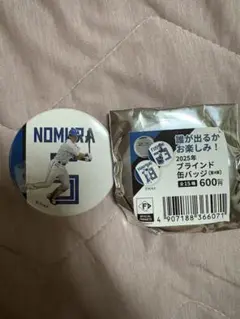 野村祐希 缶バッジ