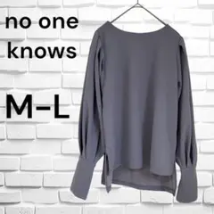 【美品】ノーワンノーズ【M-L】ブラウス　きれいめ　ビジネス