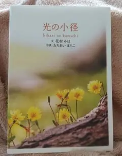 フォレストブック 光の小径