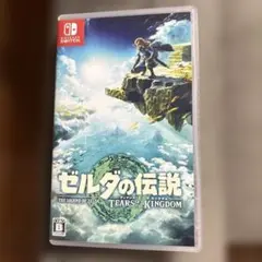 ゼルダの伝説 ティアーズ オブ ザ キングダム