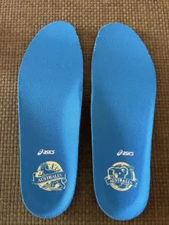 アシックス　テニスシューズ用　インソール 【新品未使用】24.5cm