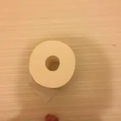 貴重なティッシュ