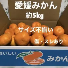 【ご家庭用】愛媛みかん・箱込み約5kg