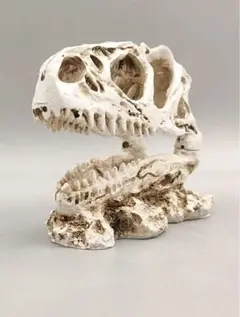 79 【未使用品】T-REX ティラノ 頭部標本 頭蓋骨 恐竜 樹脂 レジン製