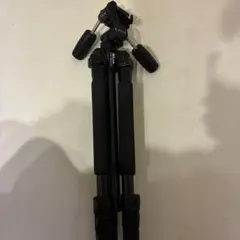 Item thumbnail for item c1722b7b-800c-4fc1-a86a-9c537f24e161