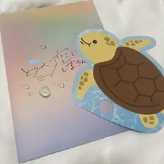 どうせ恋してしまうんだ　亀　パンフレット
