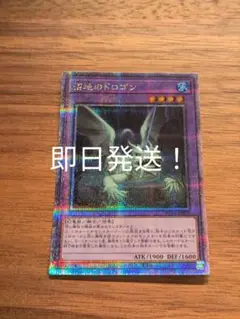 遊戯王　沼地のドロゴン　25th 即日発送