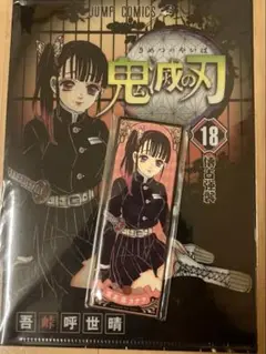 鬼滅　原作　栗花落カナヲ　缶バッジ　A5クリアファイル