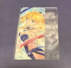 キャストリア　バサトリア　fgo 編成風画面カード　カード　最終再臨展