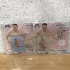 とにかく明るい安村 アルファベットアクリルキーホルダー コンプリートセット とにかく明るい安村 アルファベットアクリルキーホルダー│株式