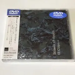 ブルーム・オブ・ユース　12 Clips +　■ Bluem of Youth