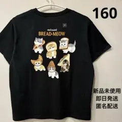 ▪️新品・未使用▪️ 160cm モフサンド　Tシャツ UNIQLO ユニクロ