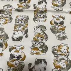 スコティッシュフォールド生地ネコ生地