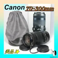 Item thumbnail for item 62816901-ae84-4d32-8323-374387a7dc7d