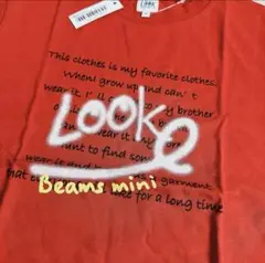 Item thumbnail for item 74b0b14a-e6d9-4a09-bf46-a09e95a1abd3