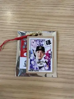 田嶋大樹