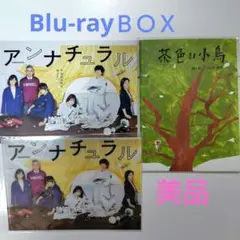 アンナチュラルDVD 初回限定盤茶色い小鳥絵本　ブックレット　ミニクリアファイル アンナチュラルDVD 初回限定盤茶色い小鳥絵本 ブックレット ミニ