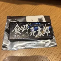 ガンバ大阪　飯野亮太郎EXPOフェイスタオル型キーホルダー