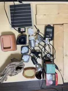 WildPlanet850ケース他フトアゴヒゲトカゲ飼育セット（現地引渡し） Amazon | エキゾテラ GEX EXOTERRA フトアゴヒゲトカゲ&リクガメ