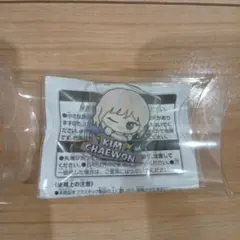 ルセラフィム チェウォン おなまえアクリルバッジ ちびぐるみポーズ！