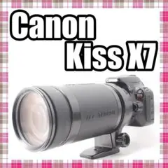 Item thumbnail for item 1b56b110-bd8b-44a5-974b-9a88d2d96522