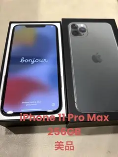 iPhone 11 Pro Max 256GB