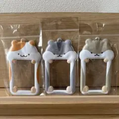 アニマル トレカケース フォトカードホルダー ハムスター 3個セット