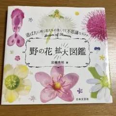 2025年最新】野に咲く花 図鑑の人気アイテム - メルカリ