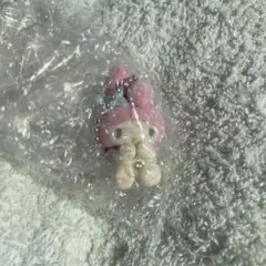 ネットフリックス　マイメロディー　クロミ　マスコット