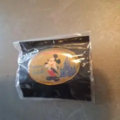 Disney Treasures of Fantasyピンバッジ ミッキーマウス