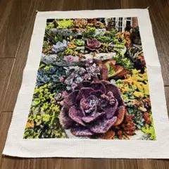クロスステッチ　多肉植物の刺繍アート 完成品