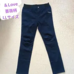 Item thumbnail for item 4736f37f-2af4-4774-9659-0b44228269f7