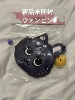 Riize everland ポーチバック　ウォンビン