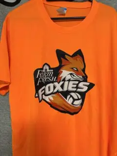 Item thumbnail for item 5dac8ed9-29aa-4a73-9339-8762c8977af0